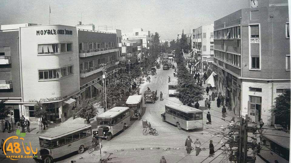 yaaffa oldjer (9).jpg